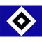 Hamburger SV e.V.